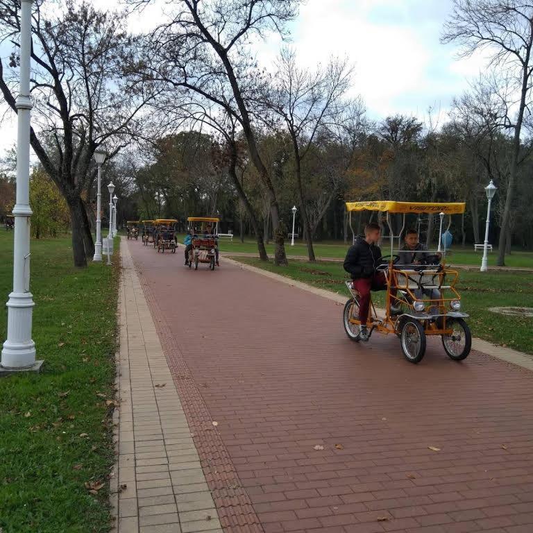 Apartman Buba Palić المظهر الخارجي الصورة