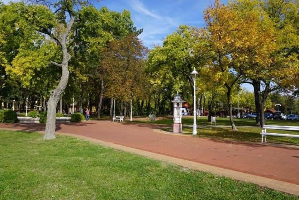 Apartman Buba Palić المظهر الخارجي الصورة