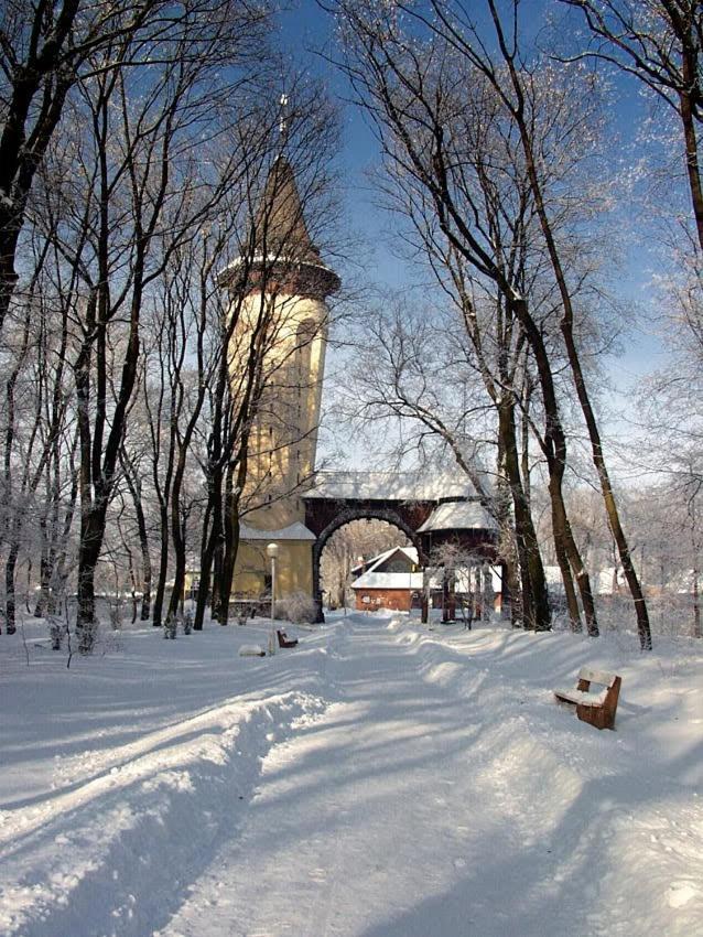 Apartman Buba Palić المظهر الخارجي الصورة