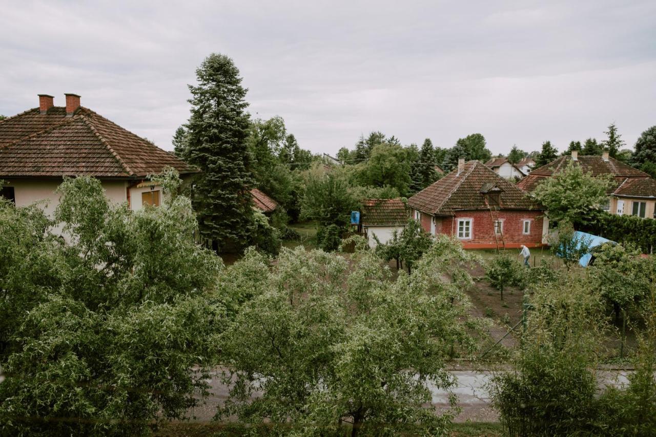 Apartman Buba Palić المظهر الخارجي الصورة